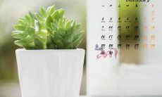 分享内心感悟——探寻亲情的真谛:通过句子表达情感,共同探讨人生中最重要的关系之一——亲情