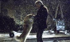 《忠犬八公的故事》中的经典台词,让人感受到忠诚、友情与爱的真实价值