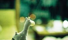 感受怀恋之情的伤感句子，引发内心深处的情感共鸣