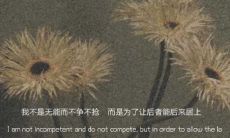 分别后的悲伤述说短句:踏上告别爱情之旅的文案