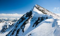 冠军之路:揭秘胜利的关键- 冠军球队的口号