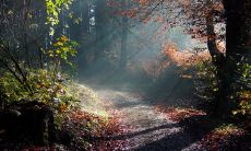 从亲情中获得的感悟——探究家庭生活背后的情感哲学