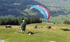 不要害怕尝试：试一试，或许会惊喜连连！