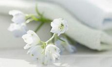 超长版:一份记录毕业时刻的回忆册——高中毕业同学录中的留言短句与唯美寄语