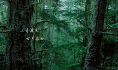 告别三月,迎接四月——优美的说说文案