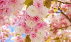 针对父亲节，提供给您的父亲一些短小精悍的祝福语句子