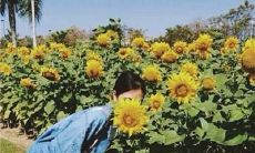 如何运用细节描写来表达亲情的情感?