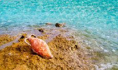 提供防寒保暖提示的问候短信,帮助你度过寒冷的季节