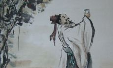 梳理唐诗宋词明代文言文诸多作品，汇总分享亲情主题相关的经典句子