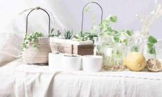 荡漾着青春气息的文艺唯美句子,清新如初夏的微风