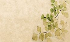 绚烂多彩的九月，充满清新与希望的句子集合