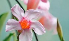 经过生活磨练，深思熟虑的句子，能够让人心动不已，深深感受到生命的意义，值得收藏的心灵鸡汤经典语录！