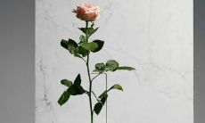 探寻书中的美丽句子：摘抄那些令人惊艳、引人共鸣的优美语句，让你不由自主想要分享出去