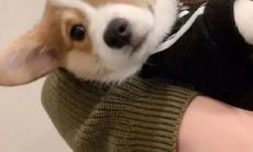 一连串让人感到极度惊恐与痛苦的句子,深深散发着沉闷、无助与绝望的心碎话语