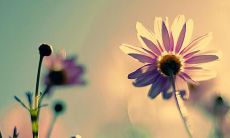 挑战友情不断的经典句子