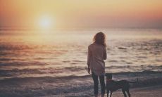 如何用温馨抒情的句子表达爱的情感?