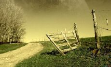 谈一下让人失望的家庭情况，以及可能引发这些情况的因素