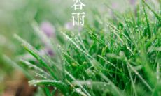 30个具有浪漫诗意的句子，描写谷雨的神奇魅力！