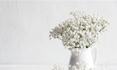 迷茫不已者的心烦之源:经典语句如何攻克?