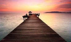 用动人的语言表达银杏的美感:在秋日里迷恋银杏,欣赏优美的句子