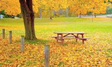 在每周一紧张愁眉的开始,送上专业的业务短信问候语,为你和你的团队打气!