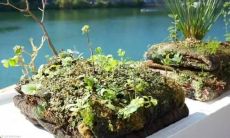 一段绚烂多彩的文学佳句赞美纵横于人生旅途上的亲情之光