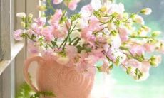 二班搞笑班级口号:用幽默点缀校园生活, 给学生带来快乐与自信!