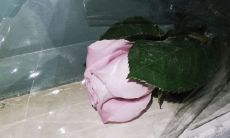 暴露痛苦：我无法掩饰内心的不开心和不满