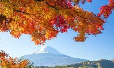 用心感悟生活,铸造深情句子,传递爱与温暖:深刻而感人的抒情句子