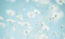 初中班级口号16字押韵：全员奋战在运动会，展现我们实力和灵魂！