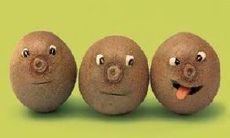 妙趣横生且富有深意的幽默语句，让你哈哈大笑！