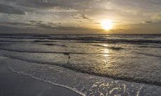 随着温度的骤降，发出客户问候短信以表示关怀和关注