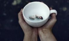 我对这个句子充满失望的内心感受：愤怒、失望、沮丧、困惑和不满，带来强烈的情感波动！