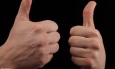 详细阐述说明文主题的句子摘要，希望能尽可能地准确地传递信息