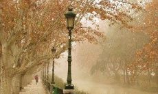 分享:在恋爱日记中记录的一周年纪念,充满深情的情话和纪念日回忆