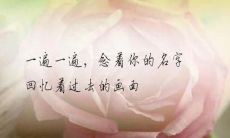 尝试向心爱之人表白时,深感心碎之痛的句子集合