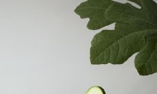 表达父母与子女之间关系的感人语句