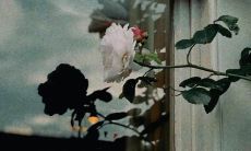 通过文字表达不好心情的感性倾诉：伤感的心境所述