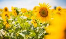 生命中的积极能量传递：让你每天充满力量的小而精炼的句子