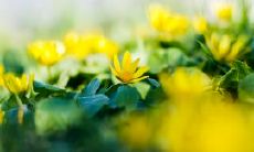 在家庭中最让人心碎、无力的话语:亲情之间最令人痛心的句子