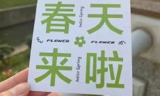 「春日美景，让我陶醉在绚丽的景色中，感受心灵的舒畅与喜悦」