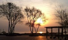 分享早晨幽默短信,让你的爱人开始美好一天!