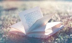 拥有温馨亲情哲理的婉约句式串烧!