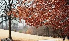 构建思想深度与文化涵养的良好基础-探索如何培养优秀的语言表达能力