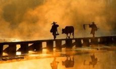 20句佛光菜根谭禅语，让你领略佛道智慧的卓越魅力（第二部分）