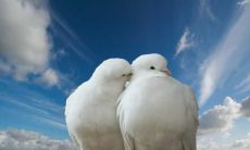 给我们最亲密、最重要的客户的诚挚问候短信