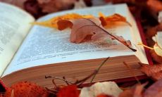 收集整理的关于考研的幽默句子,让你在疲惫的备考中放松一下心情!