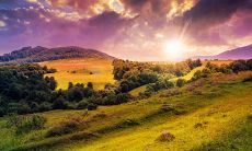 那些让人心烦意乱的句子，每每让我们情绪失控