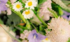 一篇高质量的小众情绪文案，适合置顶到微信朋友圈，让你的个性独领风骚的技巧指南