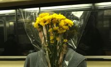 浪漫诗句:探寻爱情的美丽与温馨